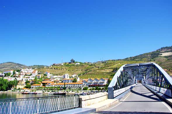 1 Day Cruise to Pinhão