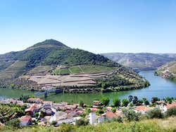 Pinhão