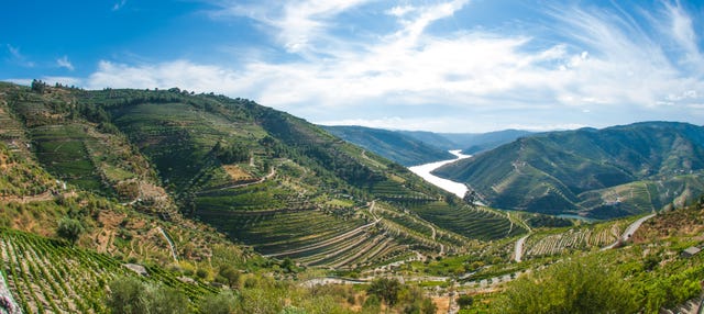 Douro Region Full-Day Trip