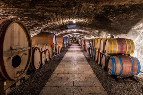 Douro Valley Wine Tasting and Tour