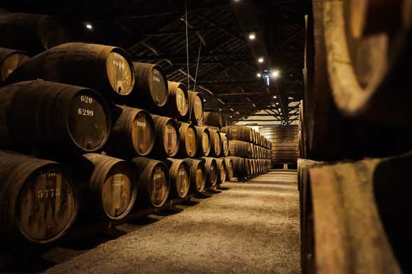 Porto Wine Tour + Winery Visit